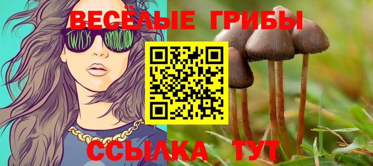 Галлюциногенные грибы Magic Shrooms  Галлюциногенные грибы Psilocybe  Саяногорск  Вход с VPN 